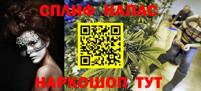 крисы Коммунар