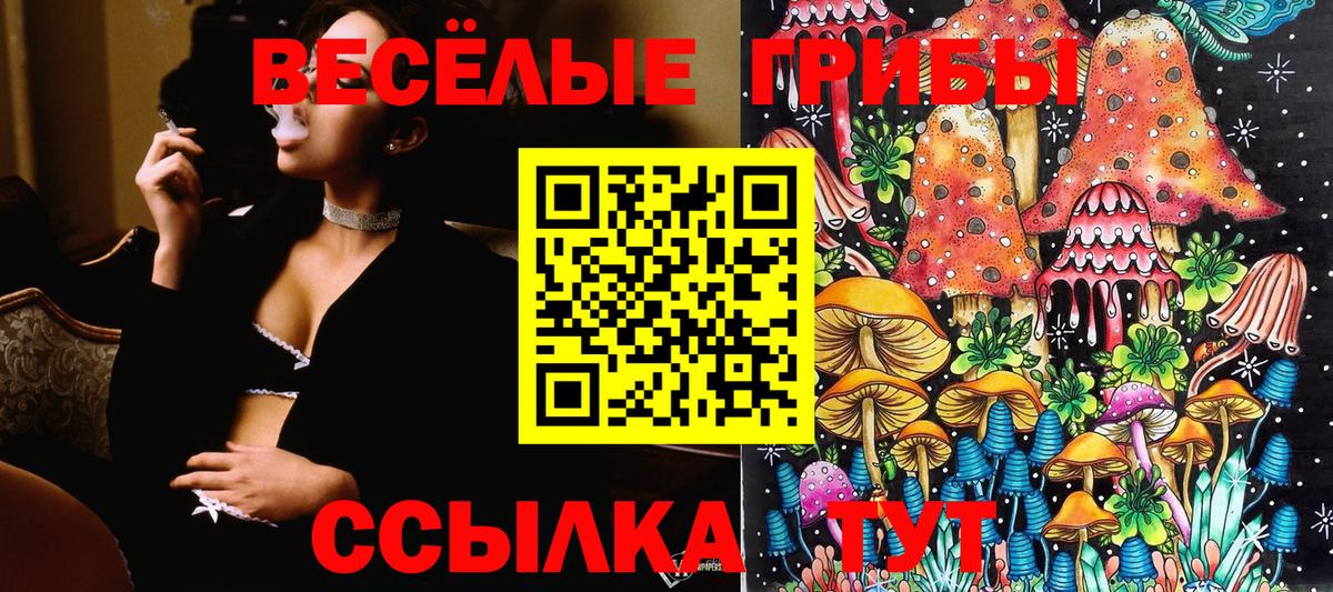 Псилоцибиновые грибы мухоморы Комсомольск-на-Амуре