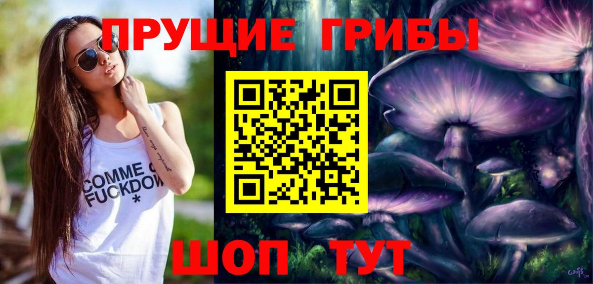 Псилоцибиновые грибы Psilocybe  Вход с VPN  Комсомольск-на-Амуре 
